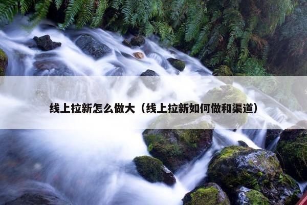 线上拉新怎么做大（线上拉新如何做和渠道）