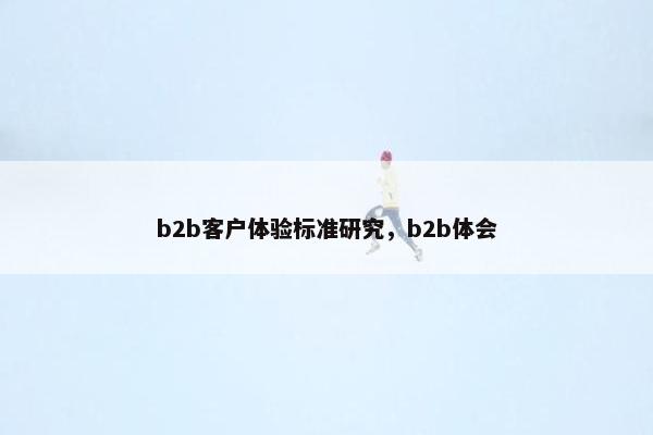 b2b客户体验标准研究，b2b体会
