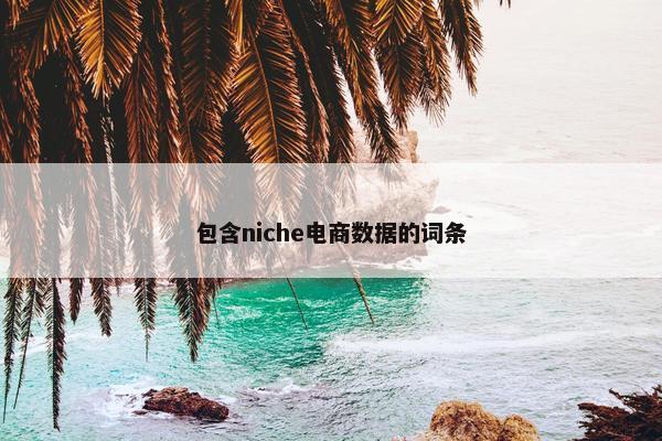 包含niche电商数据的词条