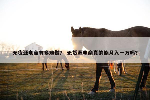 无货源电商有多难做？ 无货源电商真的能月入一万吗？