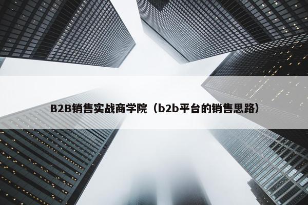 B2B销售实战商学院（b2b平台的销售思路）