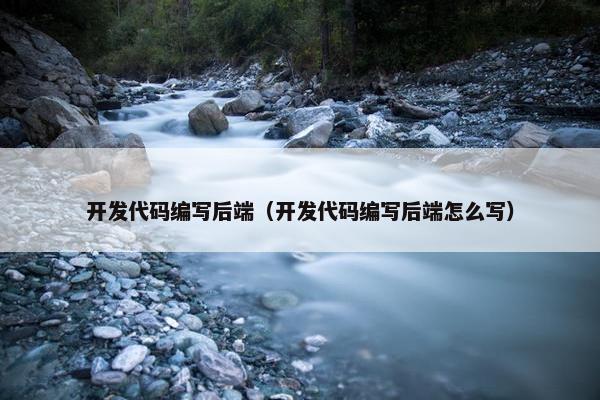 开发代码编写后端（开发代码编写后端怎么写）