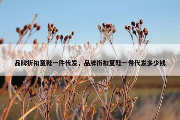 品牌折扣童鞋一件代发，品牌折扣童鞋一件代发多少钱