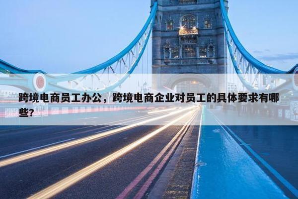 跨境电商员工办公，跨境电商企业对员工的具体要求有哪些?