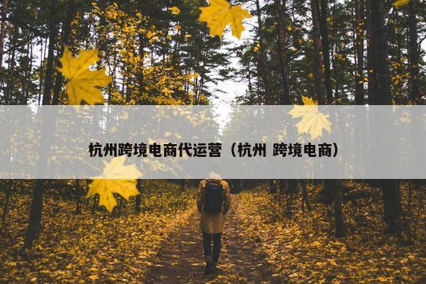 杭州跨境电商代运营（杭州 跨境电商）