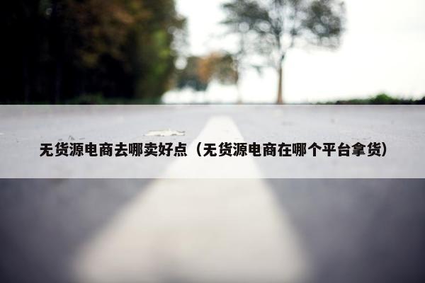 无货源电商去哪卖好点（无货源电商在哪个平台拿货）