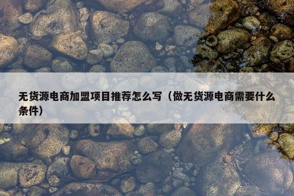 无货源电商加盟项目推荐怎么写（做无货源电商需要什么条件）