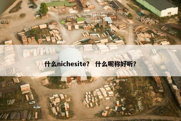 什么nichesite？ 什么呢称好听？