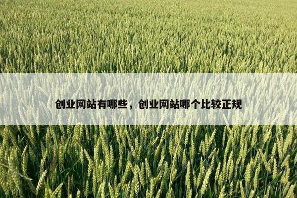 创业网站有哪些，创业网站哪个比较正规
