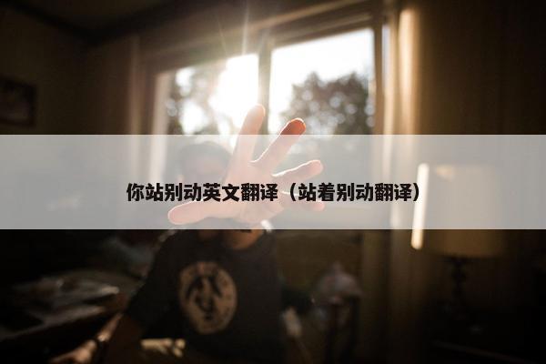 你站别动英文翻译（站着别动翻译）