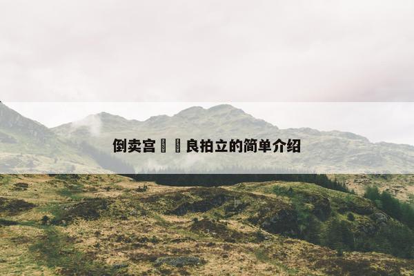 倒卖宫脇咲良拍立的简单介绍