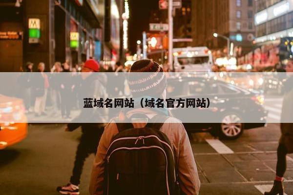 蓝域名网站（域名官方网站）