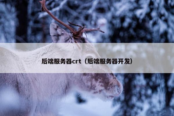 后端服务器crt（后端服务器开发）