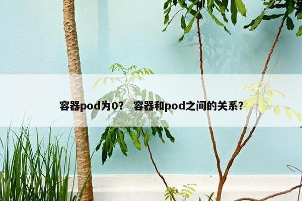 容器pod为0？ 容器和pod之间的关系？