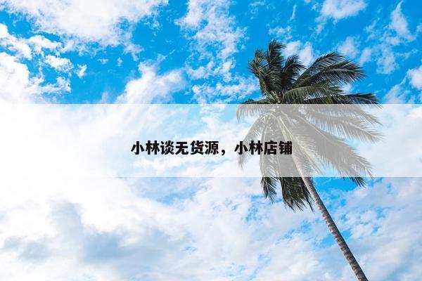 小林谈无货源，小林店铺