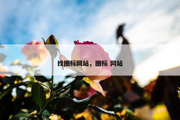 找图标网站，图标 网站