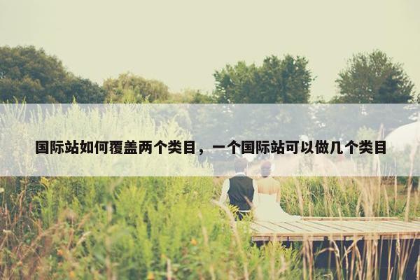 国际站如何覆盖两个类目，一个国际站可以做几个类目