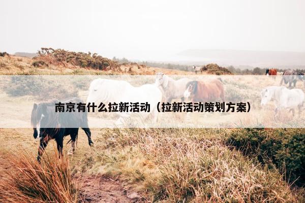 南京有什么拉新活动（拉新活动策划方案）