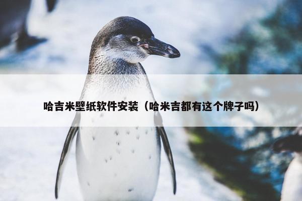 哈吉米壁纸软件安装（哈米吉都有这个牌子吗）