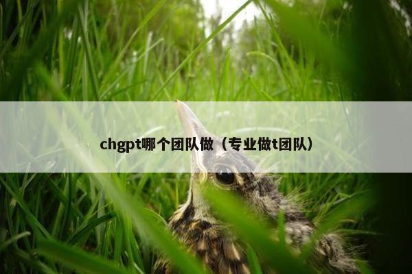 chgpt哪个团队做（专业做t团队）