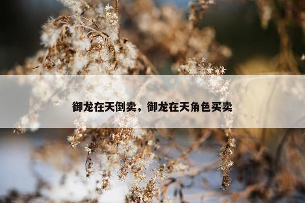 御龙在天倒卖，御龙在天角色买卖