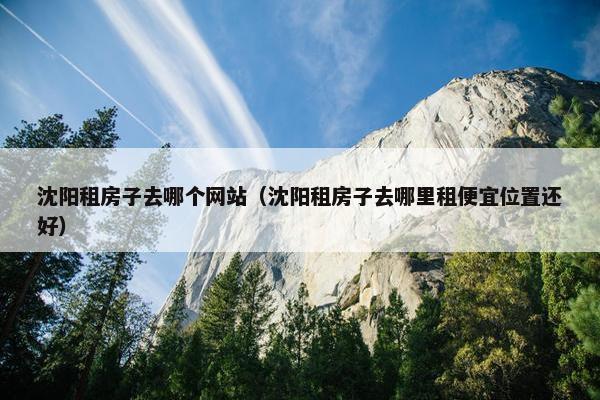 沈阳租房子去哪个网站（沈阳租房子去哪里租便宜位置还好）
