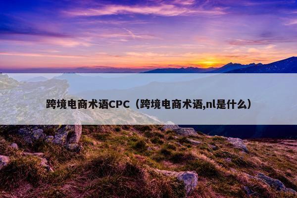 跨境电商术语CPC（跨境电商术语,nl是什么）