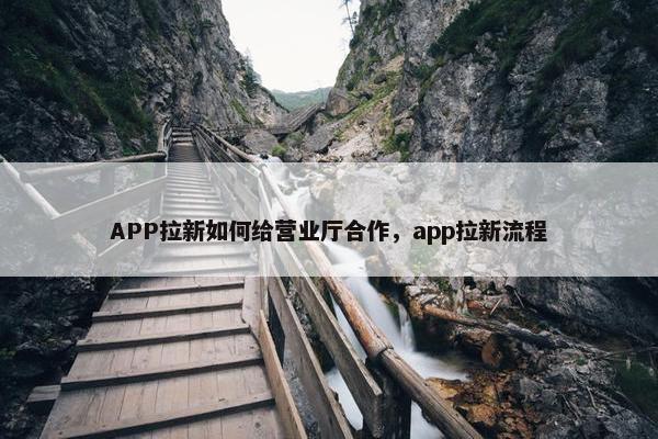 APP拉新如何给营业厅合作，app拉新流程