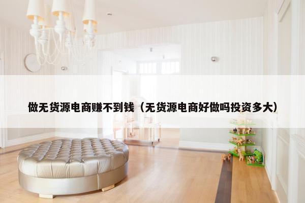 做无货源电商赚不到钱（无货源电商好做吗投资多大）