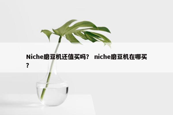 Niche磨豆机还值买吗？ niche磨豆机在哪买？
