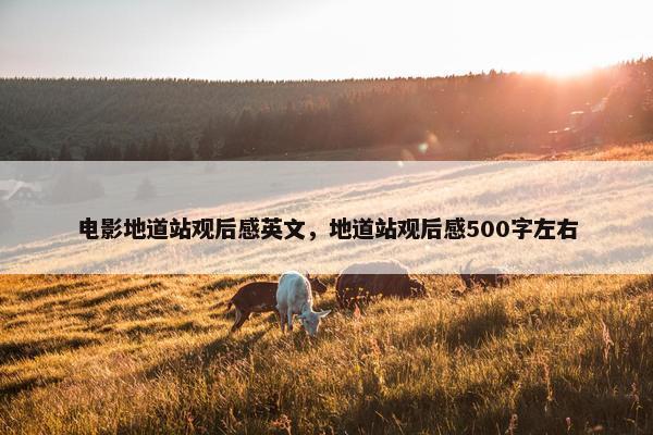 电影地道站观后感英文，地道站观后感500字左右