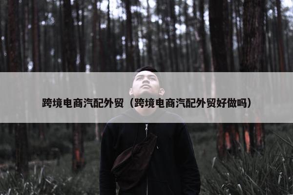 跨境电商汽配外贸（跨境电商汽配外贸好做吗）