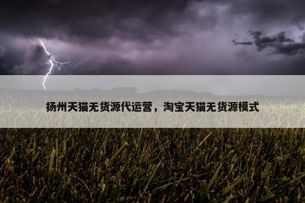 扬州天猫无货源代运营，淘宝天猫无货源模式