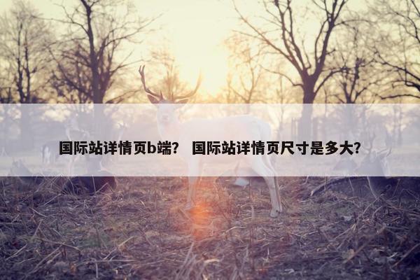 国际站详情页b端？ 国际站详情页尺寸是多大？