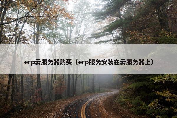 erp云服务器购买（erp服务安装在云服务器上）