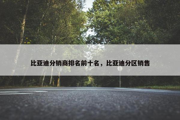 比亚迪分销商排名前十名，比亚迪分区销售