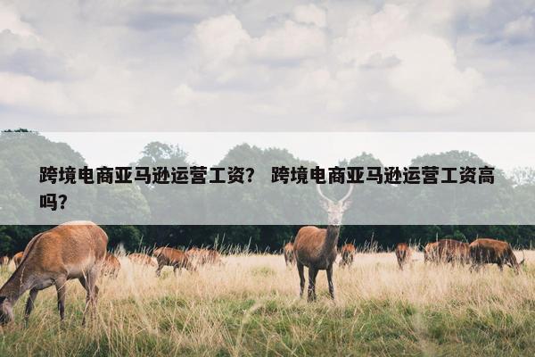 跨境电商亚马逊运营工资？ 跨境电商亚马逊运营工资高吗？