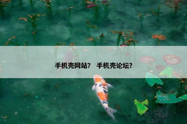 手机壳网站？ 手机壳论坛？