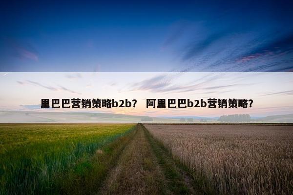 里巴巴营销策略b2b？ 阿里巴巴b2b营销策略？