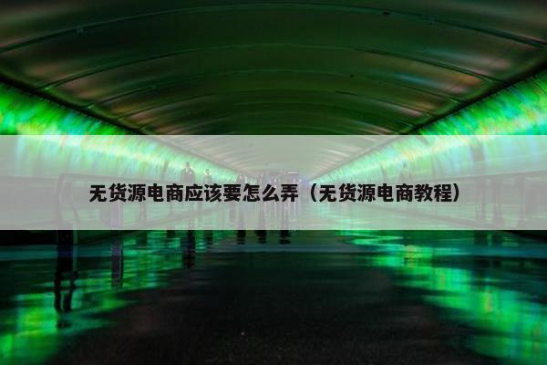 无货源电商应该要怎么弄（无货源电商教程）