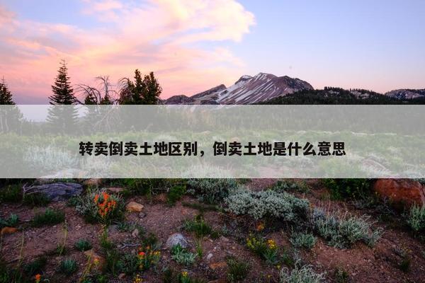转卖倒卖土地区别，倒卖土地是什么意思