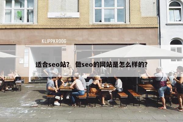 适合seo站？ 做seo的网站是怎么样的？