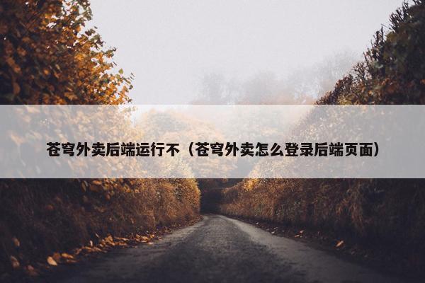 苍穹外卖后端运行不（苍穹外卖怎么登录后端页面）