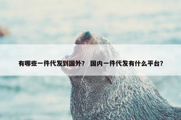 有哪些一件代发到国外？ 国内一件代发有什么平台？