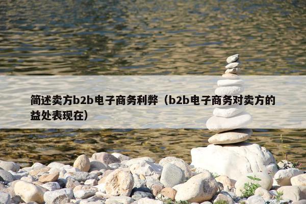 简述卖方b2b电子商务利弊（b2b电子商务对卖方的益处表现在）