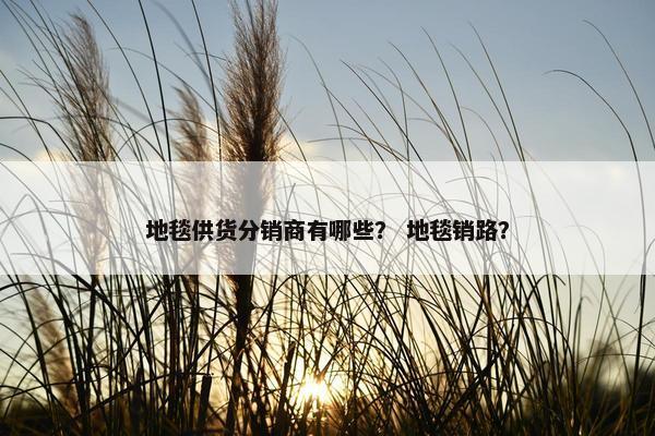 地毯供货分销商有哪些？ 地毯销路？