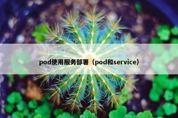 pod使用服务部署（pod和service）