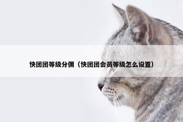 快团团等级分佣（快团团会员等级怎么设置）