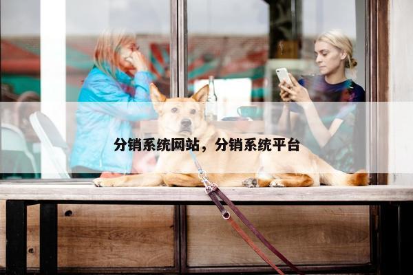 分销系统网站，分销系统平台