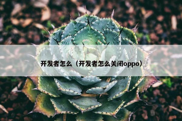 开发者怎么（开发者怎么关闭oppo）